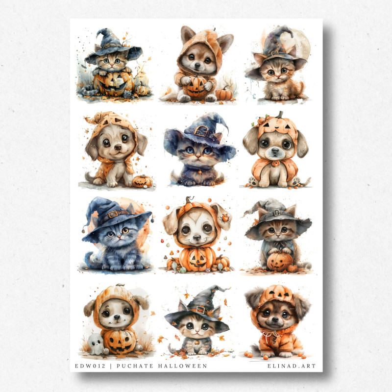Arkusz A4 z halloweenowymi pieskami i kotami w ciekawych kostiumach.